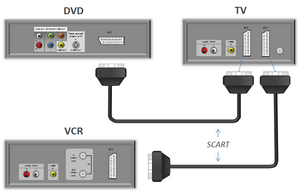 SCART input.png